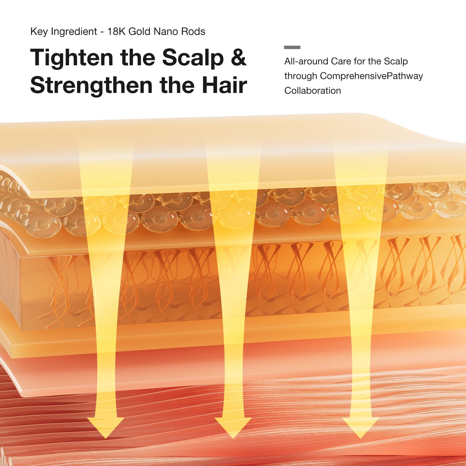 Innovative 18K Gold Nano Rods activating scalp tightening and hair strengthening.
