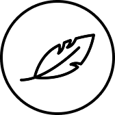 Icon 4