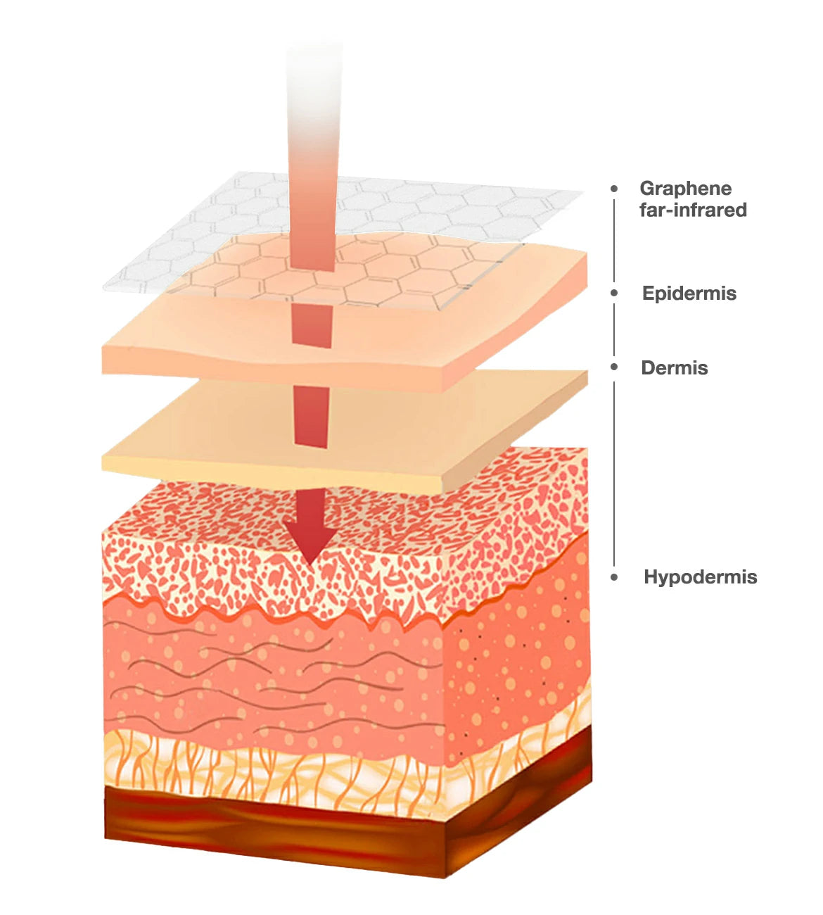 Illustrative cross-section of skin showing graphene far-infrared technology penetration through epidermis, dermis, and hypodermis layers for enhanced skincare.