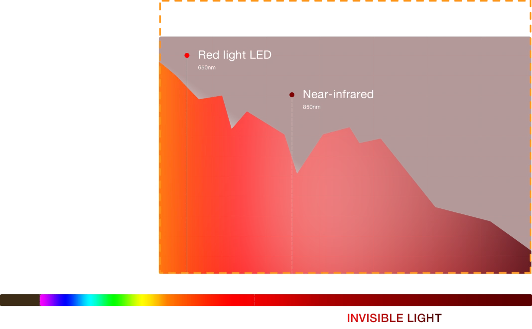 Full-Spectrum VS. <br>
Traditional Red Light