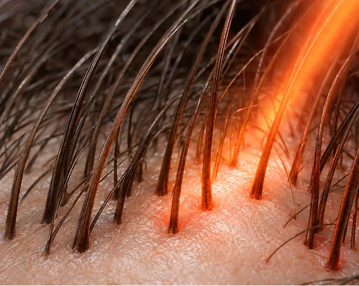 Fuller Roots, Firmer Skin