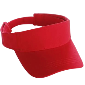 Sun Visor